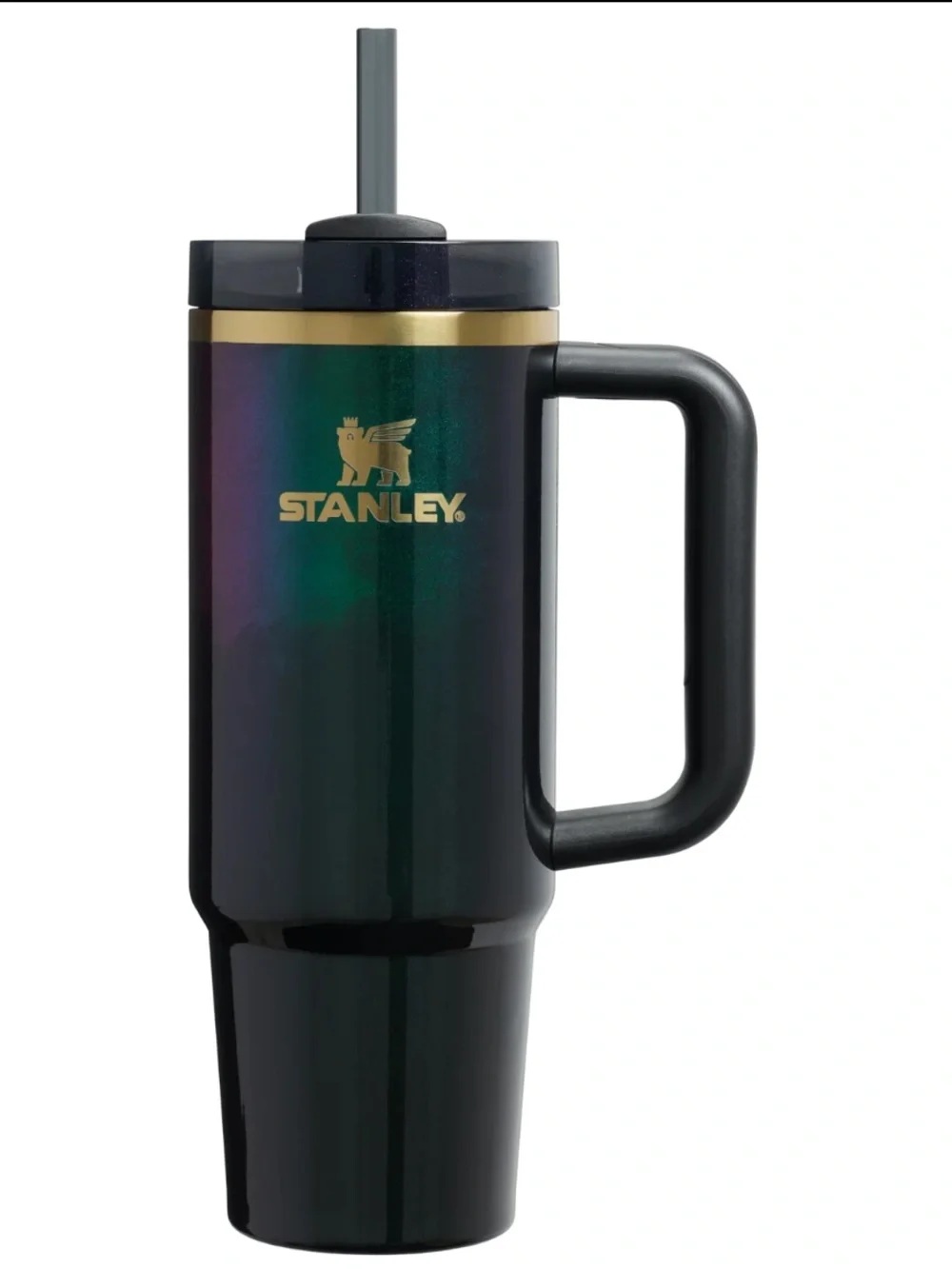 NWT Stanley Elphaba For Good 30 oz Tumbler 💚💜🖤